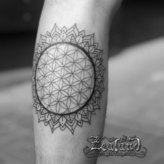 Cute, Delicate and Feminine Tattoo Gallery - Zealand Tattoo